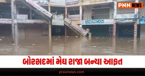 Gujarat News, Gujarati News, Gujarat News, Latest News in Gujarati, ગુજરાતી ન્યૂઝ, Daily Gujarati News Paper, Latest Gujarat Update, Live Gujarat News, Gujarat Samachar,Gujarat Headline, Today’s Gujarat News, Current Gujarat Upadte, Daily Gujarat News, Live Gujarat News In Pravi News Network,