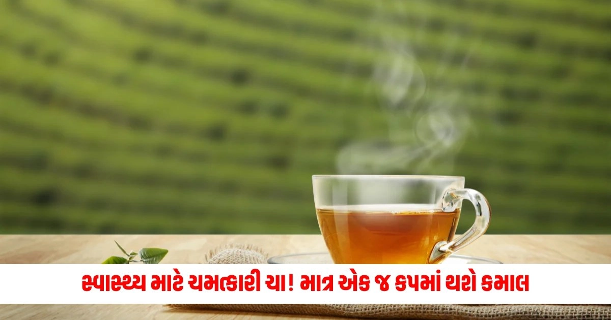 Health Tips: સ્વાસ્થ્ય માટે ચમત્કારી ચા! માત્ર એક જ કપમાં થશે કમાલ https://www.pravinews.com/gujarat-news/rahul-gandhi-hindu-remark-clashes-between-congress-and-bjp-workers-in-ahmedabad-16970