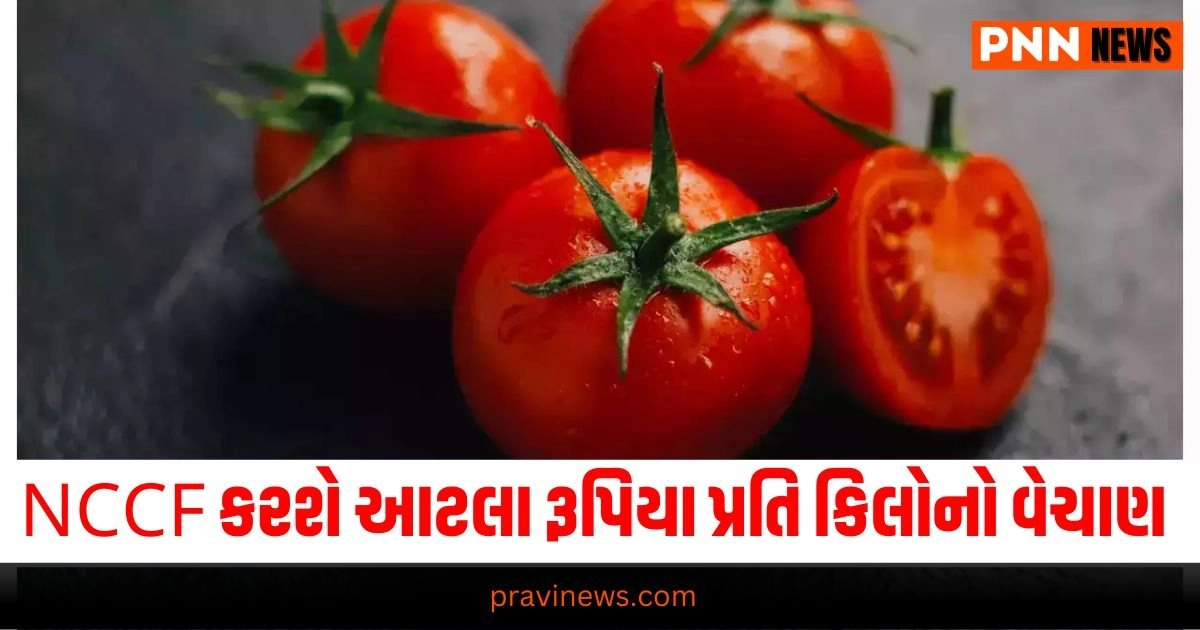 Tomato Price Cut, Business News in Gujarati, બિઝનેસ સમાચાર, personal finance news, Share market news updates, Stock market news, IPO News, NIFTY Update, Latest Business Gujarati News, બિઝનેસ ન્યૂઝ, વ્યાપાર સમાચાર, વ્યાપાર ન્યુઝ, Latest Business News, Live Business Update, Business Headline, Today’s Business Update, Current Business News, Business Live Updates In Pravi News Network, Business News, Business Update,