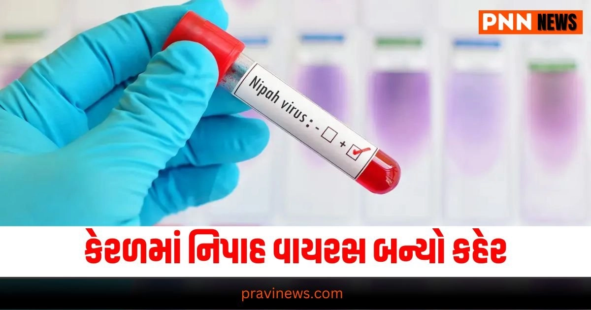 India News, (ભારત સમાચાર): India News In Gujarati, ઇન્ડિયા ન્યુઝ,Latest India News Today, National News Videos, Nation News Gujarati Online, Latest National Update, Live National News, Today’s National News, Current National Update,