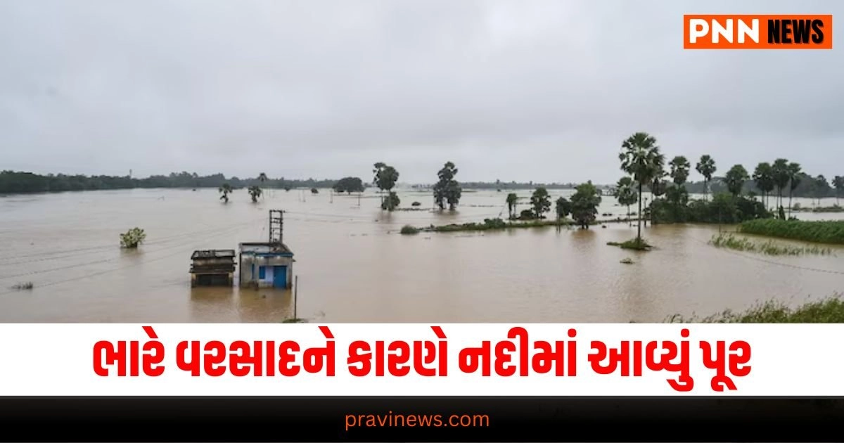 Gujarat Rain : ભારે વરસાદને કારણે નદીમાં આવ્યું પૂર, તણાઈ 20 ભેંસો https://www.pravinews.com/gujarat-news/heavy-rain-in-gujarat-people-died-in-collapse-of-dilapidated-house-in-khambhalia-dwarka-23138