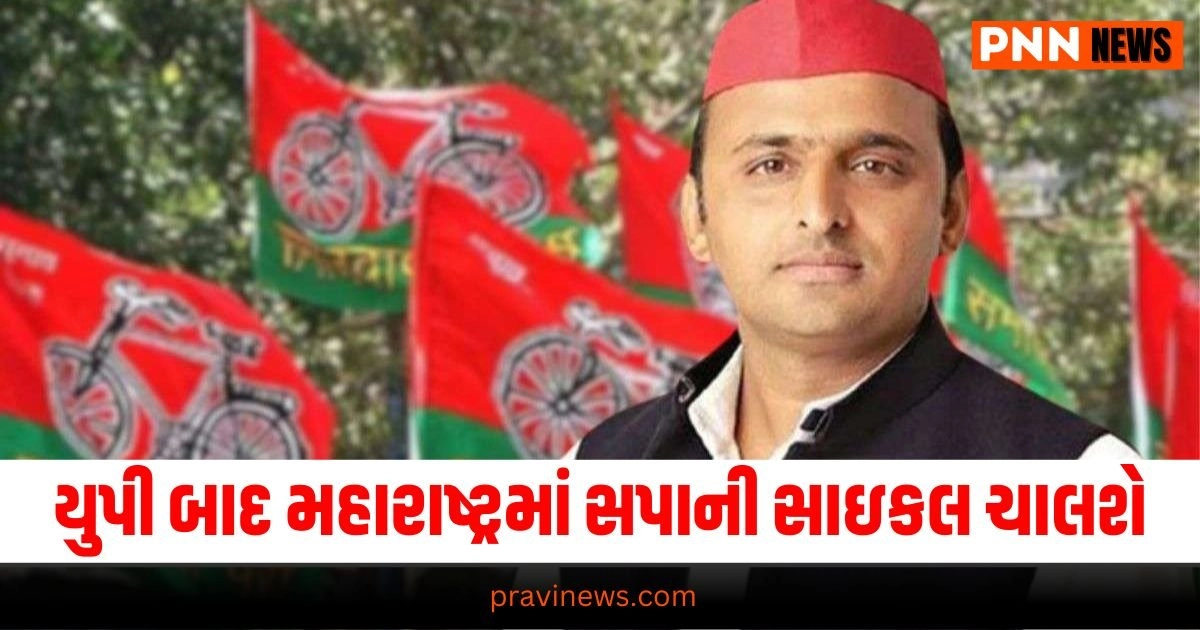 ,Samajwadi Party in Maharashtra india news, india news in gujarati, latest news india, india news today, national news, latest news national, national news today, national news in gujarati, top news in india, breaking news india, india news today, news today india, current news in india, india news online, latest news india today, news update india, news headlines india, breaking news india today, bharat, bharat news, latest news india today, રાષ્ટ્રીય સમાચાર, નેશનલ ન્યૂઝ, ભારત સમાચાર, ઇન્ડિયા ન્યુઝ, Live International Update, Latest International News, Today’s International Update, International Headline, Top International News,