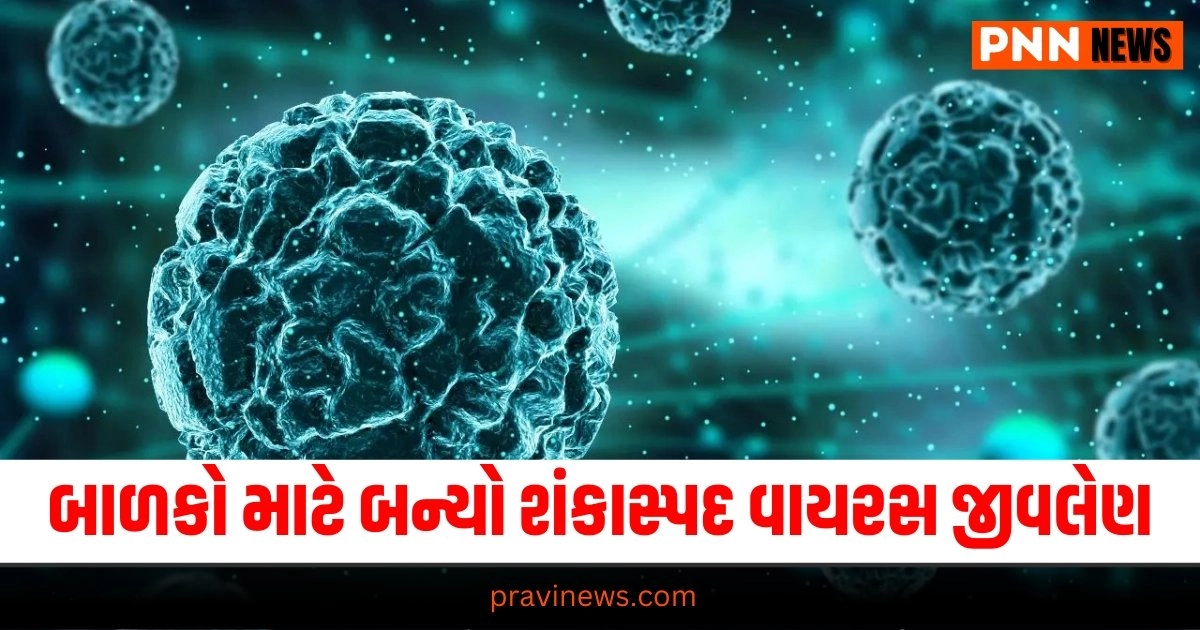 Chandipura Virus, Latest Gujarat update, live Gujarat news, Gujarat news, Gujarat samchaar, todays latest Gujarat news, gujarati samchaar, Gujarat, Gujarat news, current Gujarat update, Gujarat headline, Gujarat update 2024,