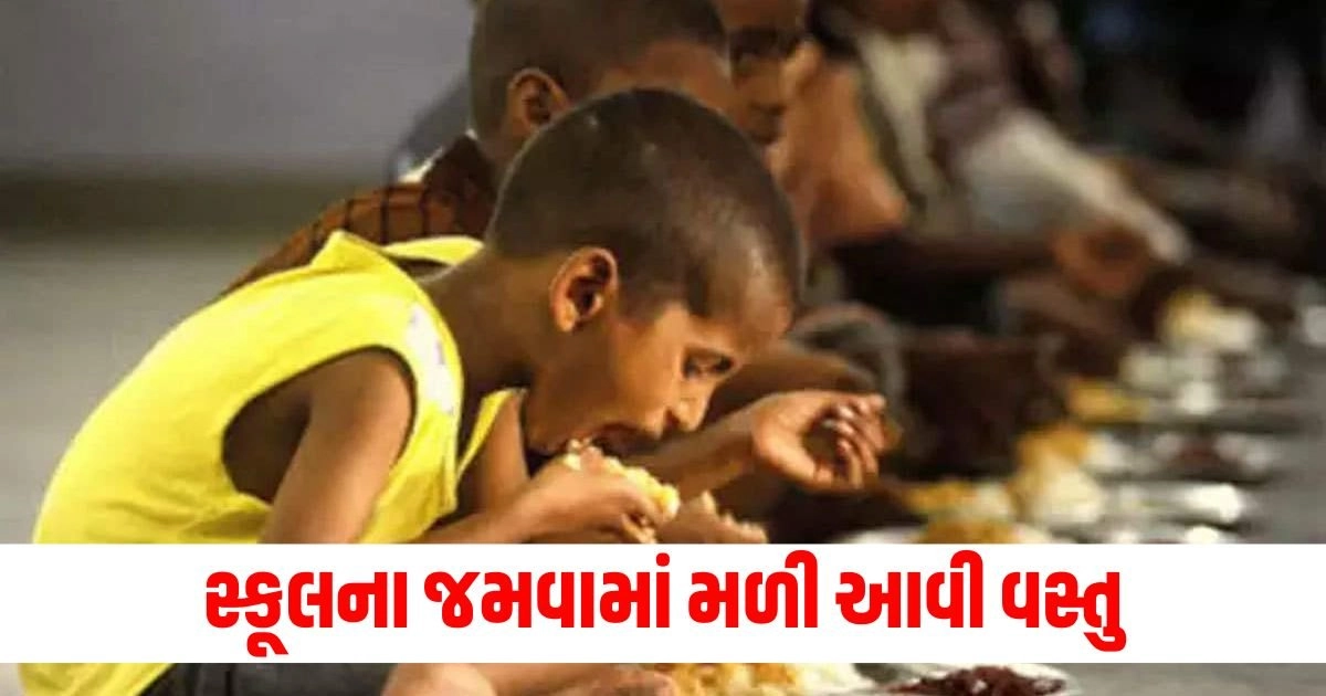 Education Ministry: સ્કૂલના જમવામાં મળી આવી વસ્તુ જેને લઈને શિક્ષણ મંત્રાલય થયું કડક https://www.pravinews.com/international-news/us-president-election-joe-biden-tongue-slips-said-donald-trump-is-eligible-to-president-praises-kamala-harris-18766