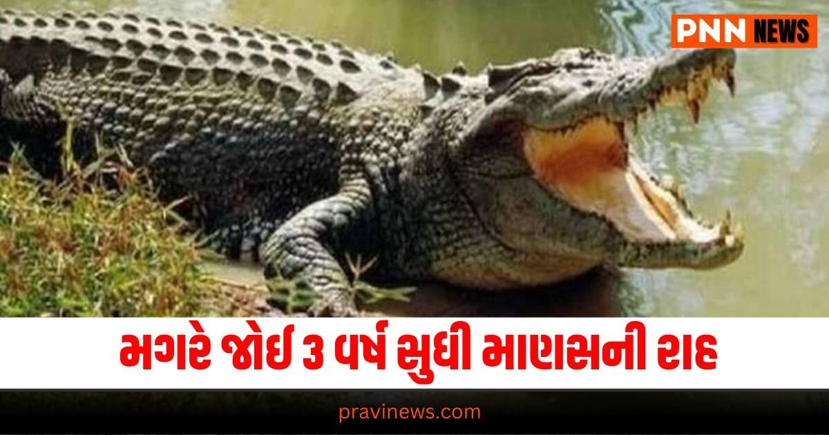 Gujarat News, Latest Gujarat update, live Gujarat news, Gujarat news, Gujarat samchaar, todays latest Gujarat news, gujarati samchaar, Gujarat, Gujarat news, current Gujarat update, Gujarat headline