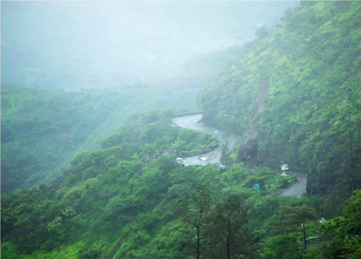 Travel News: વરસાદની મોસમમાં આ સ્થળોની મુલાકાત લેવાની મજા બમણી થઈ જાય છે https://www.pravinews.com/travel-news/twice-the-fun-plan-your-rainy-season-getaway-now-17921