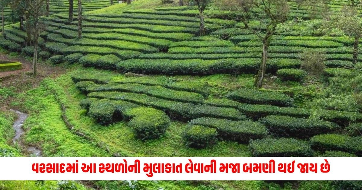 Travel News: વરસાદની મોસમમાં આ સ્થળોની મુલાકાત લેવાની મજા બમણી થઈ જાય છે https://www.pravinews.com/automobile/government-launched-right-to-repair-portal-govt-tells-auto-firms-to-liberalise-repair-services-17916