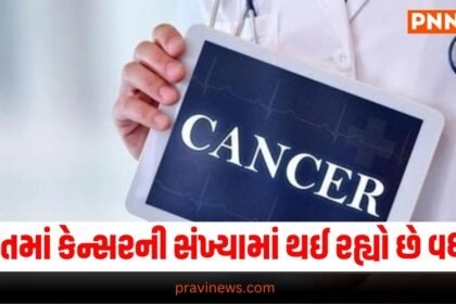 National News, National News, breaking news india, National News Headlines, india news, india news live, india news today, national news, national news headlines, national news india, news headlines india, news today india, today's national news, Current National Update, Pravi News Network, Pravi National News, National Live Update In Pravi News Network, Pravi News National Hedline, Live National News,