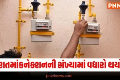 Gujarat, Gujarati News, Gujarat News, Latest News in Gujarati, ગુજરાતી ન્યૂઝ, Daily Gujarati News Paper, Latest Gujarat Update, Live Gujarat News, Gujarat Samachar,Gujarat Headline, Today’s Gujarat News, Current Gujarat Upadte, Daily Gujarat News, Live Gujarat News In Pravi News Network,