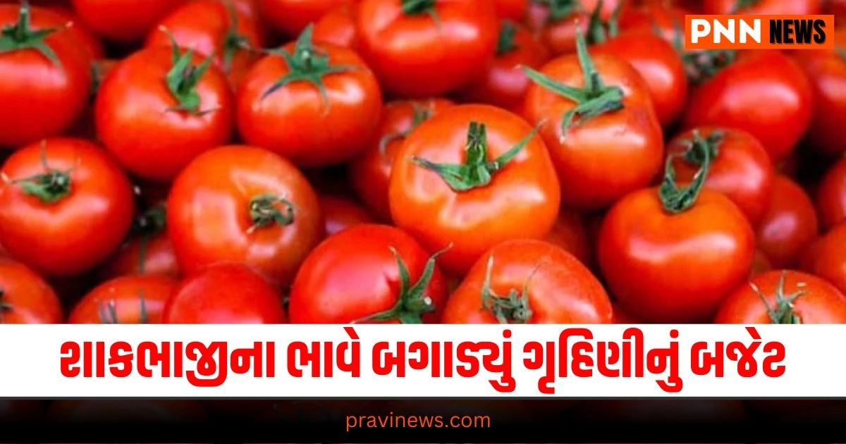 Vegetable Prices ,India News, (ભારત સમાચાર): India News In Gujarati, ઇન્ડિયા ન્યુઝ,Latest India News Today, National News Videos, Nation News Gujarati Online, Latest National Update, Live National News, Today’s National News, Current National Update,