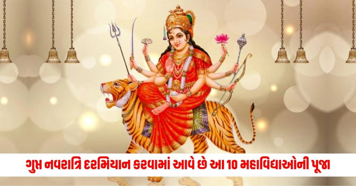 Ashadh Gupt Navratri 2024: ગુપ્ત નવરાત્રિ દરમિયાન કરવામાં આવે છે આ 10 મહાવિદ્યાઓની પૂજા https://www.pravinews.com/religion/astrology/saturn-retrograde-horoscope-saturn-give-happiness-and-immense-wealth-to-these-5-zodiac-signs-17209