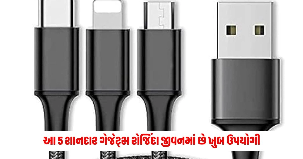 5 Cool Gadgets : આ 5 શાનદાર ગેજેટ્સ રોજિંદા જીવનમાં છે ખુબ ઉપયોગી અને કિંમત પણ ઓછી https://www.pravinews.com/religion/astrology/seeing-a-lizard-in-a-dream-is-good-or-bad-18323