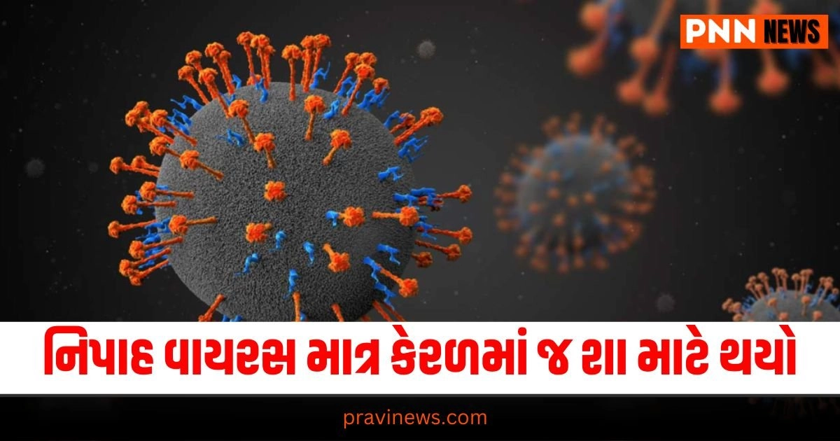 India News, (ભારત સમાચાર): India News In Gujarati, ઇન્ડિયા ન્યુઝ,Latest India News Today, National News Videos, Nation News Gujarati Online, Latest National Update, Live National News, Today’s National News, Current National Update,