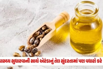 Caster Oil Benefits : સ્વાસ્થ્ય સુધારવાની સાથે એરંડાનું તેલ સુંદરતામાં પણ વધારો કરે છે, જાણો તેના અગણિત ફાયદા. https://www.pravinews.com/tag/caster-oil