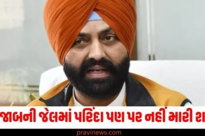 પંજાબની જેલમાં પરિંદા પણ પર નહીં મારી શકે, ભગવંત માન સરકારે લીધું મોટું પગલું https://www.pravinews.com/author/pravinews/page/2