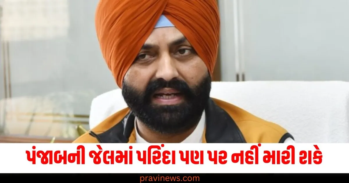 પંજાબની જેલમાં પરિંદા પણ પર નહીં મારી શકે, ભગવંત માન સરકારે લીધું મોટું પગલું https://www.pravinews.com/world-news-in-gujarati/hathras-accident-google-map-error-mathura-bareilly-highway-car-accident-injured-hospitalized-5789