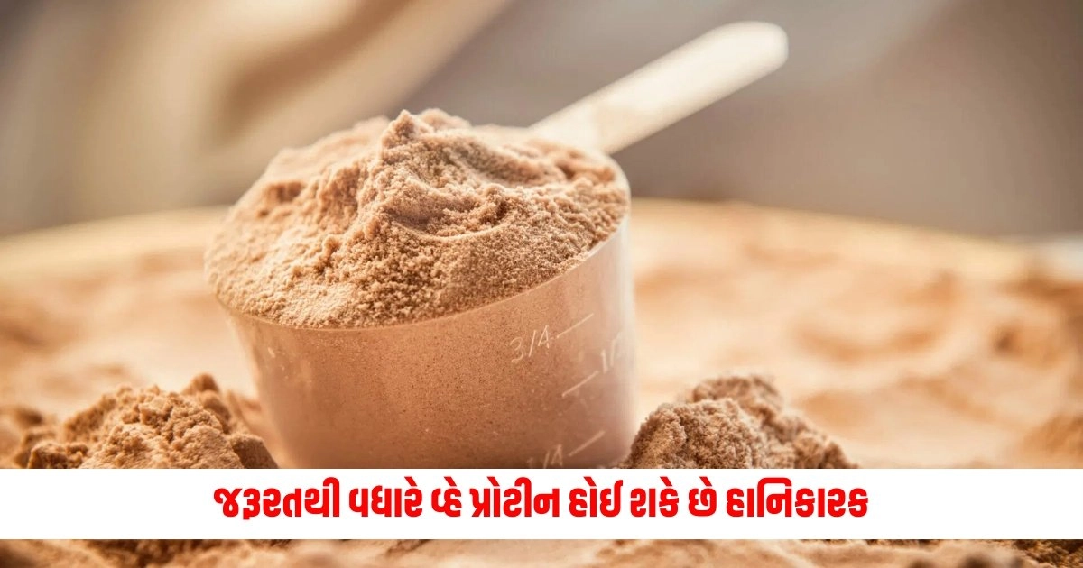 Whey Protein : જરૂરતથી વધારે વ્હે પ્રોટીન હોઈ શકે છે હાનિકારક, જાણો તેની કેટલીક સામાન્ય આડઅસરો https://www.pravinews.com/religion/astrology/dont-put-tulsi-plant-at-this-place-of-house-by-mistake-17387