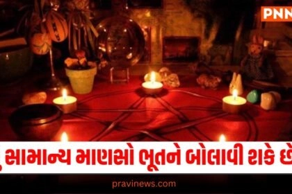 offbeat , News on offbeat , stories on offbeat , articles on offbeat , offbeat stories at Shantishram, offbeat news, offbeat latest news, Live Offbeat update, offbeat headline , today’s offbeat news, current offbeat news in shntishram, latest offbeat news, live offbeat update, offbeat news 2024, top offbeat news in gujarati , shantishram offbeat news,