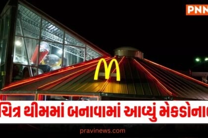 Ajab Gajab, Latest offbeat news, live offbeat update, top offbeat news, offbeat update, offbeat news, offbeat headline,