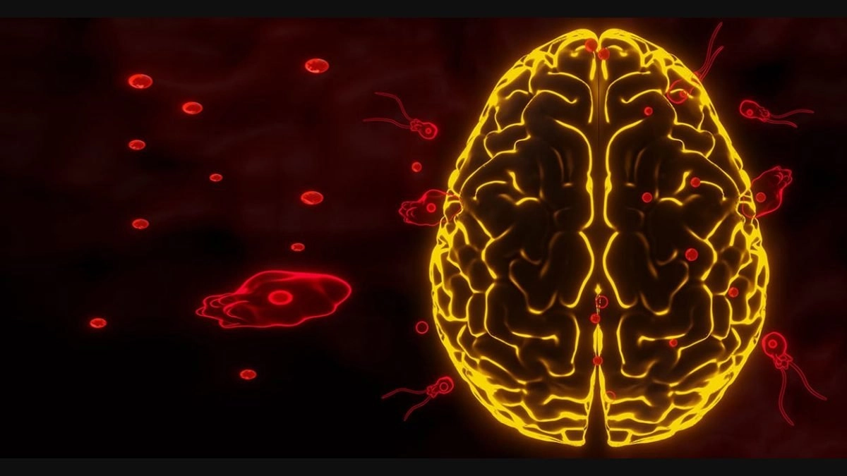 Brain Eating Amoeba: દેશમાં અમીબાનો ચેપ વધ્યો, અત્યાર સુધીમાં 22 લોકોના થયા મોત 2 Brain Eating Amoeba: દેશમાં અમીબાનો ચેપ વધ્યો, અત્યાર સુધીમાં 22 લોકોના થયા મોત https://www.pravinews.com/world-news-in-gujarati/danger-infection-of-brain-eating-amoeba-increased-in-the-country-22-people-have-died-so-far-17769