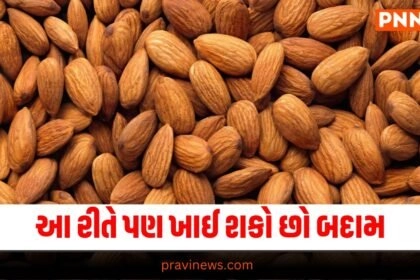 Almond, Latest Food News, Live Food update, Food news, Food Update, Food Headline, Latest Food recipe, Live Food Recipe, Today’s Food Recipe, Current Food Update