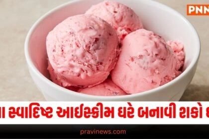 Latest Food News In Gujarati, live food update , food headline, today’s food recipe, current food recipe, top food recipe, latest food update, live food recipe, shantishram food recipe, food update, food news, food tips, latest food tips recipe, live food tips, shantishram food tips,