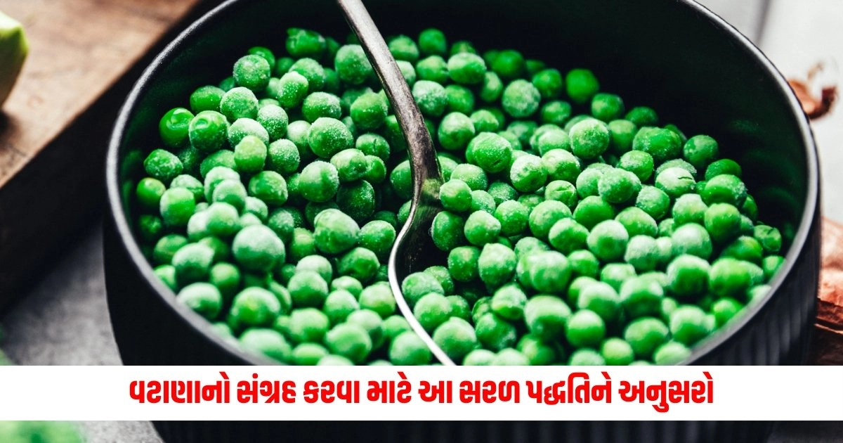 Store Peas : વટાણાનો સંગ્રહ કરવા માટે આ સરળ પદ્ધતિને અનુસરો https://www.pravinews.com/technology/is-the-phone-stolen-how-to-secure-phonepe-google-pay-and-paytm-upi-id-17980