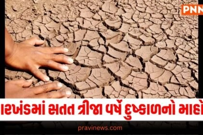 National News, National News, breaking news india, National News Headlines, india news, india news live, india news today, national news, national news headlines, national news india, news headlines india, news today india, today's national news, Current National Update, Pravi News Network, Pravi National News, National Live Update In Pravi News Network, Pravi News National Hedline, Live National News,