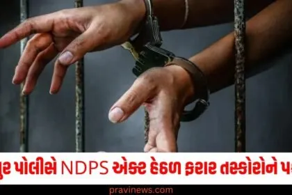 જોધપુર પોલીસે NDPS એક્ટ હેઠળ ફરાર તસ્કોરોને પકડ્યા, અત્યાર સુધીમાં 62 ઓપરેશનમાં 64 આરોપી ઝડપાયા https://www.pravinews.com/author/pravinews