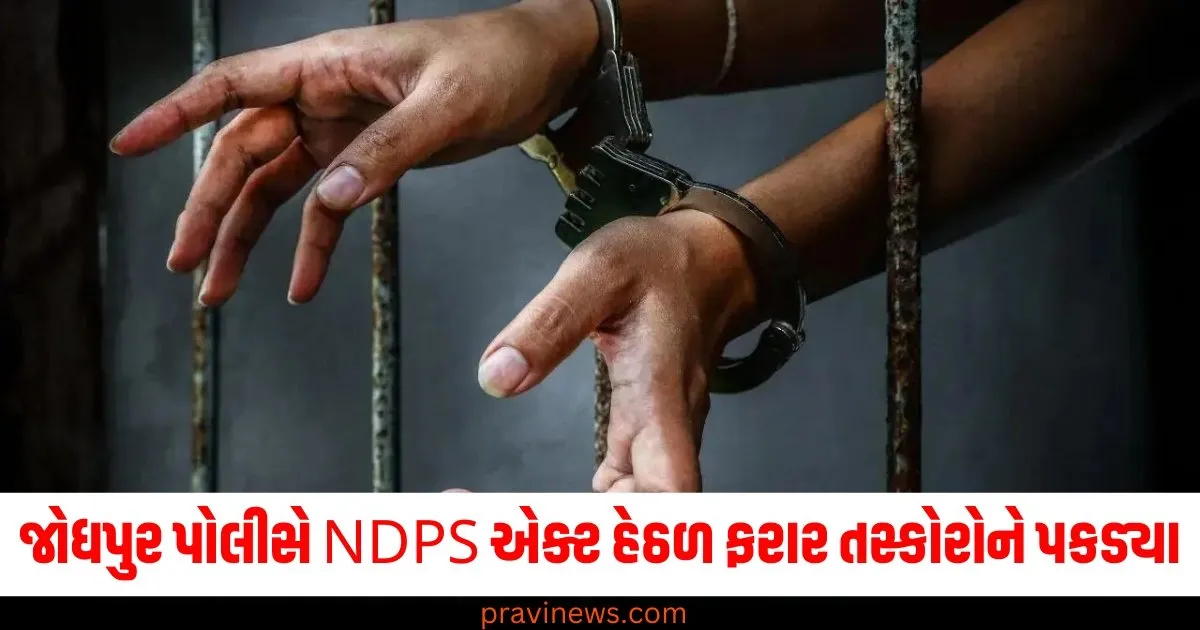 જોધપુર પોલીસે NDPS એક્ટ હેઠળ ફરાર તસ્કોરોને પકડ્યા, અત્યાર સુધીમાં 62 ઓપરેશનમાં 64 આરોપી ઝડપાયા https://www.pravinews.com/world-news-in-gujarati/jodhpur-range-ig-vikas-kumar-arrests-three-fleeing-drug-traffickers-under-ndps-act-17114