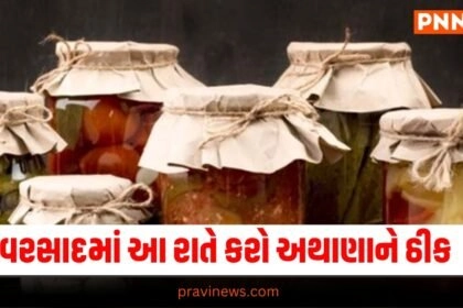 Latest Food News In Gujarati, live food update , food headline, today’s food recipe, current food recipe, top food recipe, latest food update, live food recipe, shantishram food recipe, food update, food news, food tips, latest food tips recipe, live food tips, shantishram food tips,