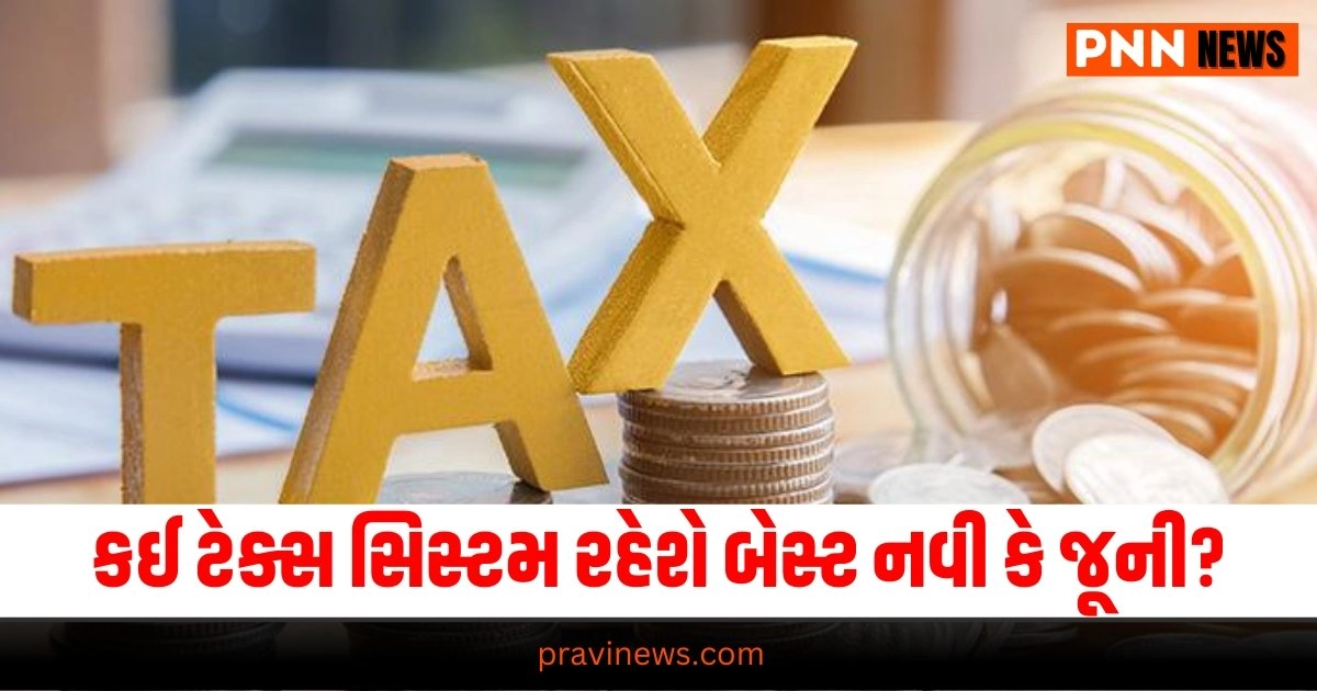 Income Tax, Business News in Gujarati, બિઝનેસ સમાચાર, personal finance news, Share market news updates, Stock market news, IPO News, NIFTY Update, Latest Business Gujarati News,