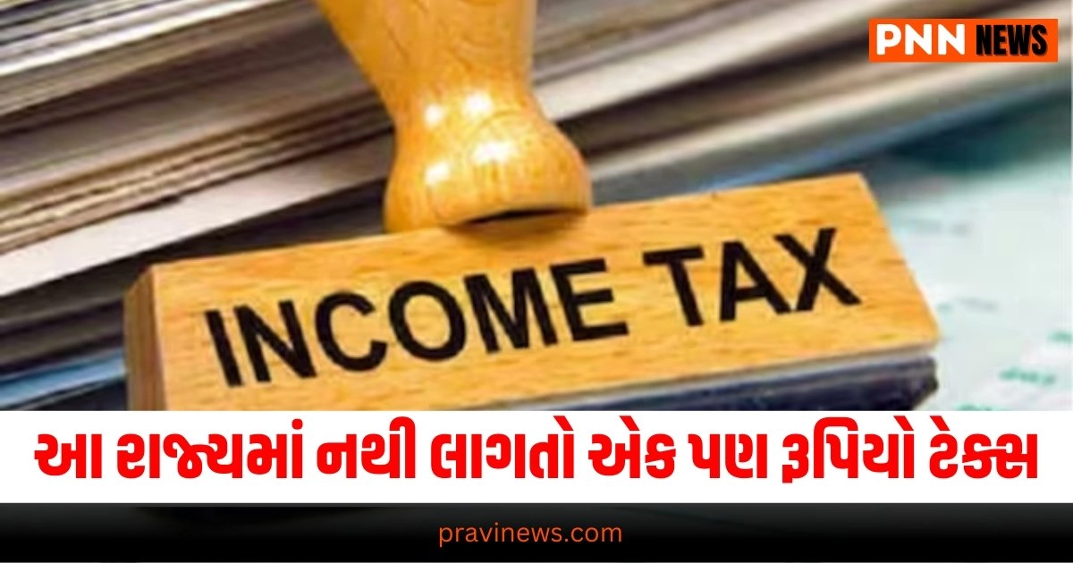 Income Tax, Business News in Gujarati, બિઝનેસ સમાચાર, personal finance news, Share market news updates, Stock market news, IPO News, NIFTY Update, Latest Business Gujarati News, બિઝનેસ ન્યૂઝ, વ્યાપાર સમાચાર, વ્યાપાર ન્યુઝ, Latest Business News, Live Business Update, Business Headline, Today’s Business Update, Current Business News, Business Live Updates In Pravi News Network, Business News, Business Update,