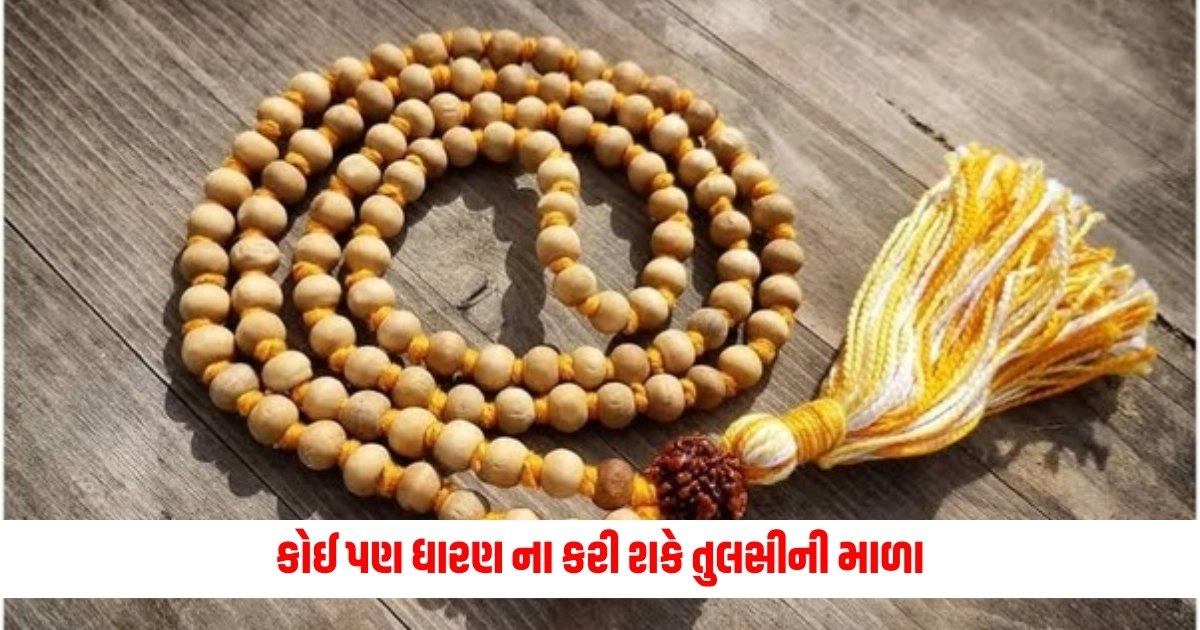 Tulsi Mala : કોઈ પણ ધારણ ના કરી શકે તુલસીની માળા, પહેર્યા પછી ભૂલથી પણ ન કરો આ 3 કામ, જાણો શું છે નિયમો https://www.pravinews.com/ajab-gajab/nasa-shares-bird-s-eye-view-of-world-s-most-inhabited-island-tristan-da-cunha-17991