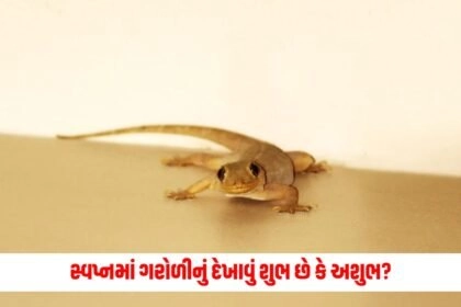 Astro, Astrology news, Daily Astrology,Daily Predictions, Weekly Predictions, Astrology,Celestials,Astrology Today,Astrology latest updates,Astrology predictions,Zodiac signs ,Astrology updates