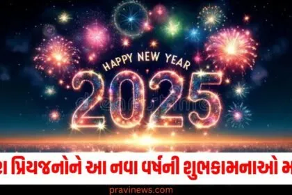 તમારા પ્રિયજનોને આ ખાસ સંદેશાઓ સાથે નવા વર્ષની શુભકામનાઓ મોકલો https://www.pravinews.com/author/pravinews/page/2