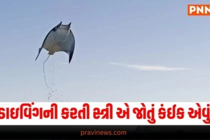 Offbeat, Latest offbeat news, live offbeat update, top offbeat news, offbeat update, offbeat news, offbeat headline, offbeat update, Gujarat, india, today’s offbeat update, current offbeatnews update,