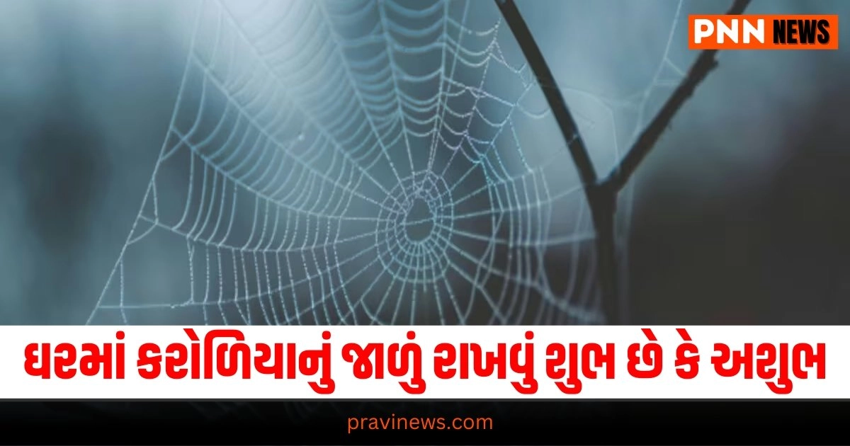 : Aaj Nu Rashifal, Aaj ka Rashifal, Today Rashifal In Gujarati, Daily Horoscope, Today Rashifal, Daily Rashifal, આજનું રાશિફળ, દૈનિક રાશીફળ, રાશિફળ, Today Rashifal for Aries, Today Rashifal for Taurus, Today Rashifal for Gemini, Today Rashifal for Cancer, Today Rashifal for Leo, Today Rashifal for Virgo, Today Rashifal for Libra, Today Rashifal for Scorpio, Today Rashifal for Sagittarius, Today Rashifal for Capricorn, Today Rashifal for Aquarius, Today Rashifal for Pisces