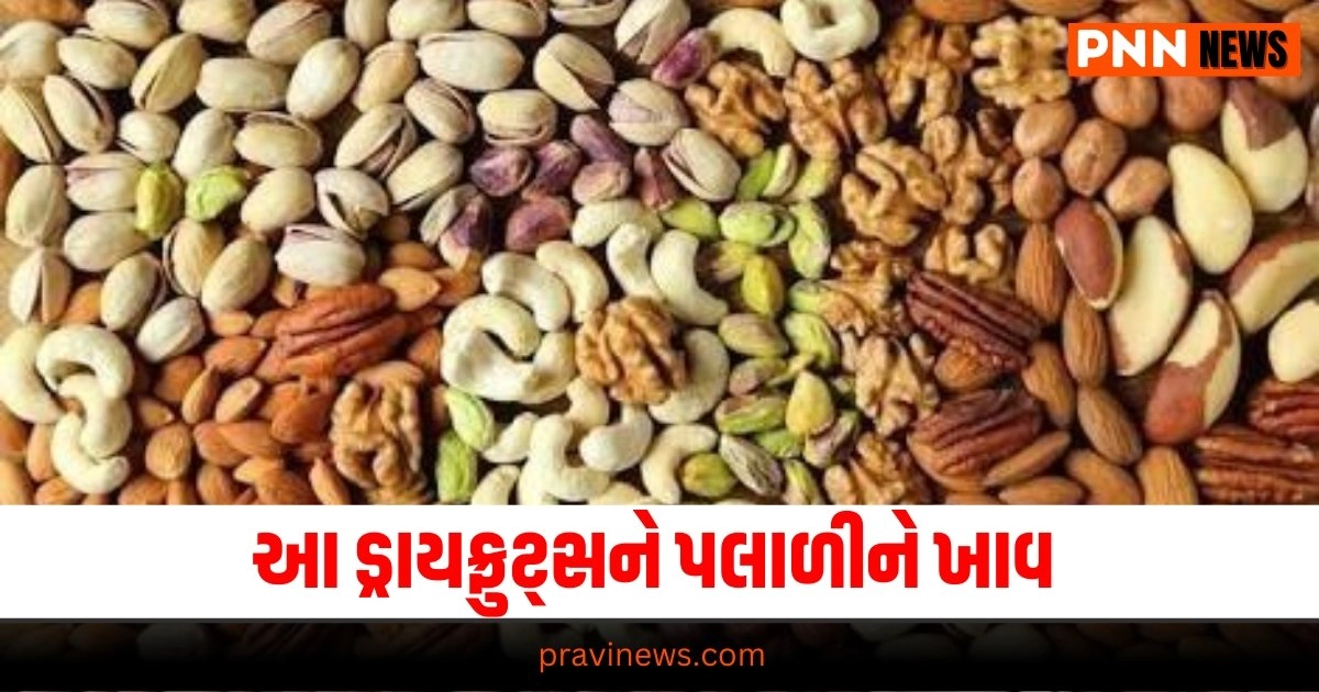 Dry fruits for Brain: Health tips Gujarati, Health news, આરોગ્ય સમાચાર, ગુજરાતીમાં આરોગ્ય સમાચાર, Health gujarati news, Health news in gujarati, Health news update in gujarati, gujarati Health articles, gujarati News on Health, Health articles in gujarati, Health Headline, Health News, Health Update, Latest Health News In Gujarati, Health Live Update, Today’s Health Fitness News, current Health Update, Health Live Headline, Pravi Health News, Health News 2024,