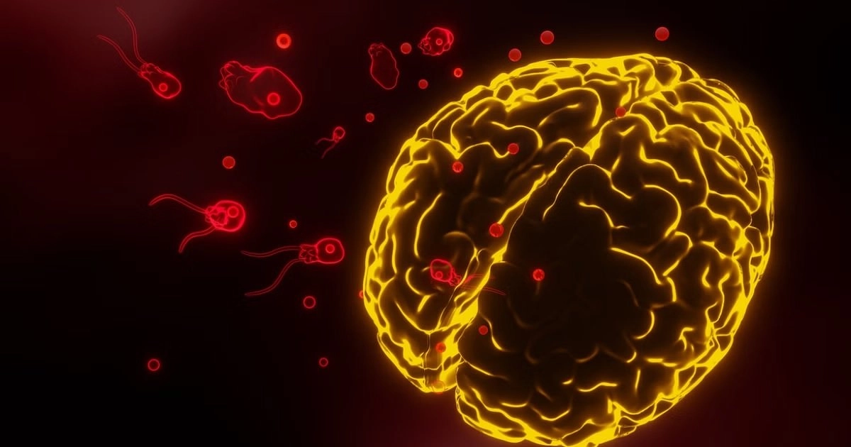 National News: અમીબા માણસનું મગજ ખાઈ રહ્યું છે, આ સમસ્યા શું છે અને તેનાથી કેવી રીતે બચવું? https://www.pravinews.com/world-news-in-gujarati/what-is-brain-eating-amoeba-fourth-case-in-kerala-symptoms-and-prevention-17880