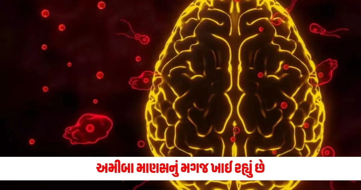 National News: અમીબા માણસનું મગજ ખાઈ રહ્યું છે, આ સમસ્યા શું છે અને તેનાથી કેવી રીતે બચવું? https://www.pravinews.com/world-news-in-gujarati/weather-forecast-rain-alert-southwest-monsoon-remains-subdued-most-parts-kerala-17874
