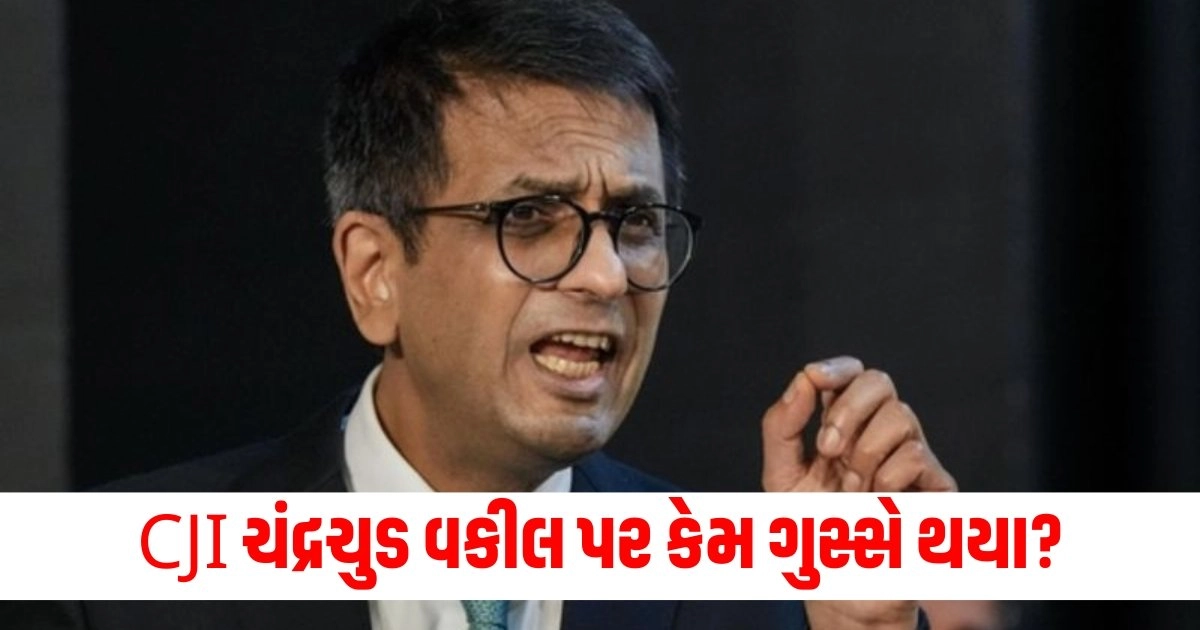 CJI DY Chandrachud: 'તમે જજ છો કે હું...' NEET પેપર લીક કેસમાં CJI ચંદ્રચુડ વકીલ પર કેમ ગુસ્સે થયા? https://www.pravinews.com/food/omos-at-home-recipe-of-street-style-momos-become-kids-favorite-17981