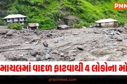 National News, Latest India News Today, National News Videos, Nation News Gujarati Online, Latest National Update, Live National News, Today’s National News, Current National Update,
