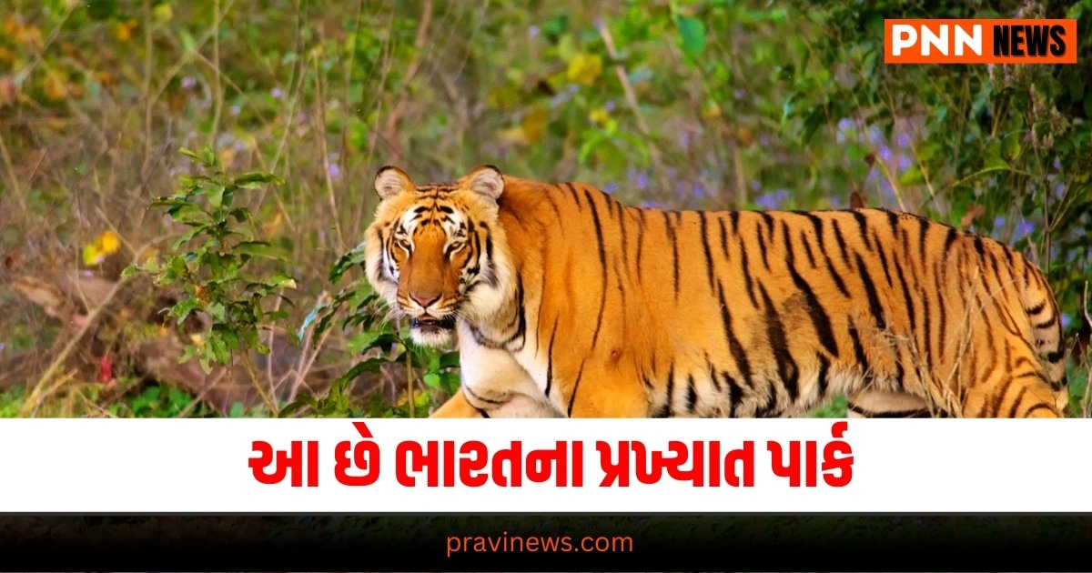 Best Tiger Parks India, Famous Tiger Parks, See Tigers India, Top Tiger Reserves Indian Tiger Sanctuaries