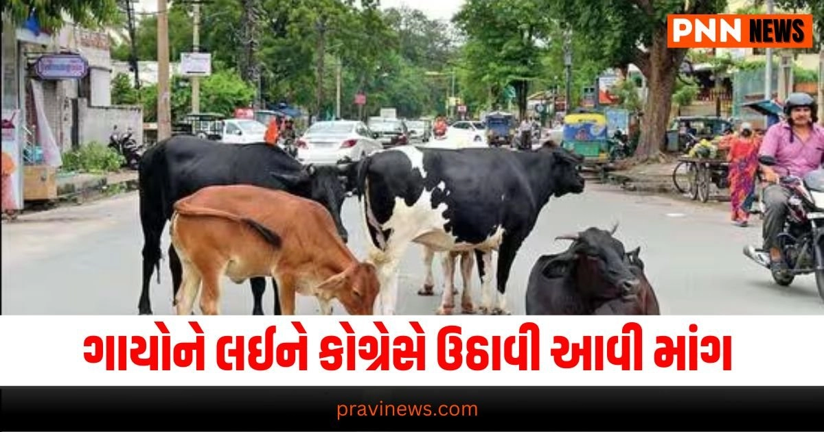 Gujarat Congress, cow issue, Lok Sabha MP, Parliament discussion Cow protection, government responsibility, animal welfare, Congress demand Gujarat cow deaths, concern raised, MP's plea, urgent attention Government response, cow conservation, measures taken, MP's satisfaction Gujarat politics, cow issue, public concern, Congress agenda