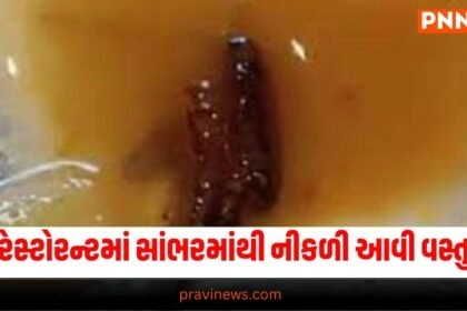 Ahmedabad, Restaurant, Food contamination, Sambhar, Foreign object, Health department, Investigation, Customer complaint, Temporary closure, Safety measures,