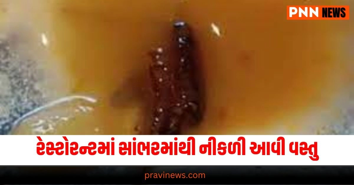 Ahmedabad, Restaurant, Food contamination, Sambhar, Foreign object, Health department, Investigation, Customer complaint, Temporary closure, Safety measures,