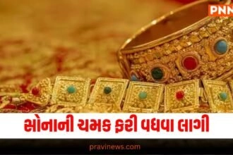 Gold Price, Gold Market, Price Increase, Government, Gold Value, Market Trend, Gold Demand, Price Hike, Gold Investment, Economic News, Precious Metals, Gold Rate, Financial Market, Investment News, Government Policy