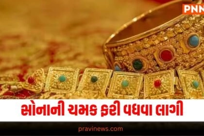 Gold Price, Gold Market, Price Increase, Government, Gold Value, Market Trend, Gold Demand, Price Hike, Gold Investment, Economic News, Precious Metals, Gold Rate, Financial Market, Investment News, Government Policy