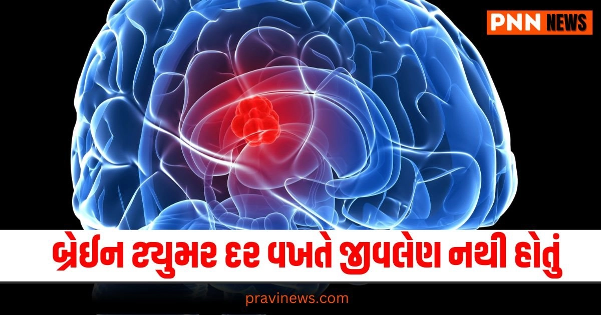 India,braintumor patients, "World Brain Tumour Day 2024,World Brain Tumour Day,Brain Tumour,Brain Tumour signs and symptoms,Brain Tumour treatment,Brain Tumour prevention,Brain Tumour causes"